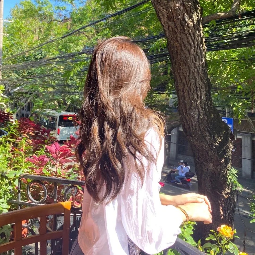 夏有乔木 雅望天堂